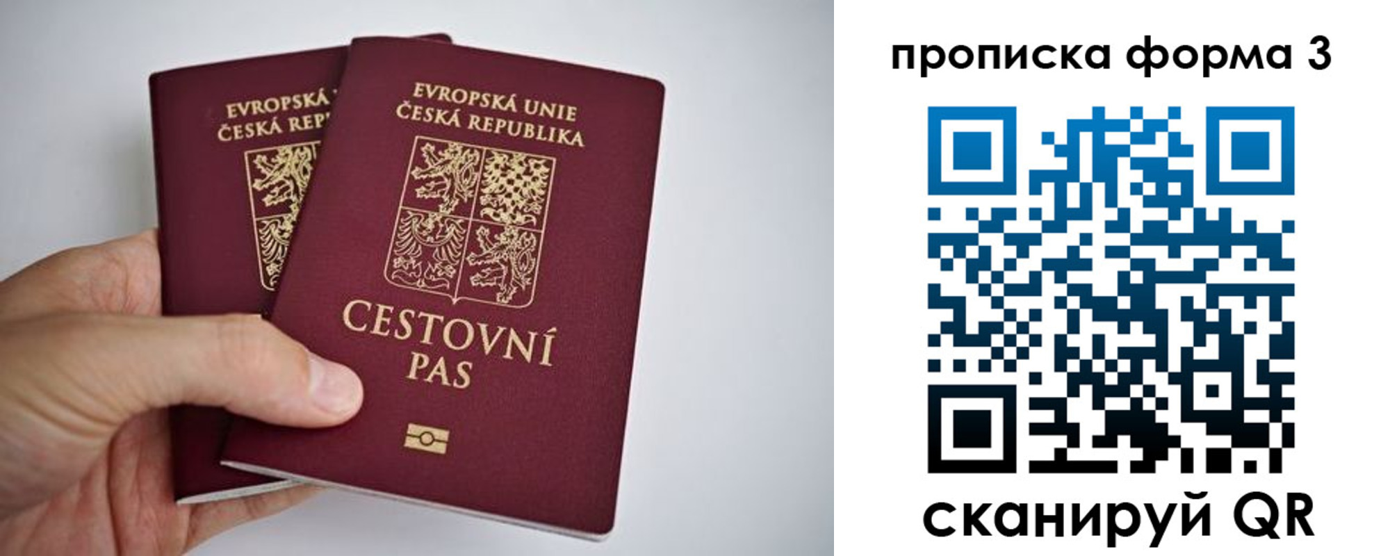 регистрация для школы в Звенигово